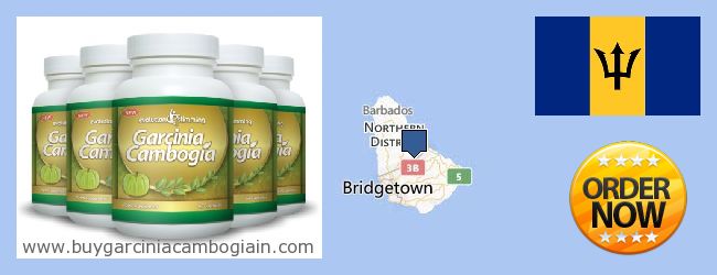 купити Garcinia Cambogia Extract онлайн Barbados Де купити Garcinia Cambogia Extract онлайн Barbados