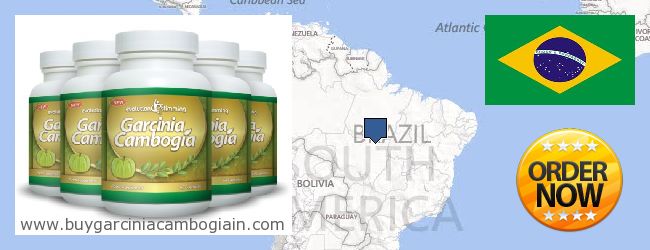 Де купити Garcinia Cambogia Extract онлайн Brazil