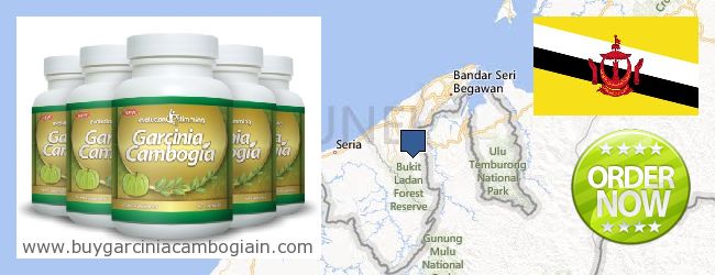 Де купити Garcinia Cambogia Extract онлайн Brunei