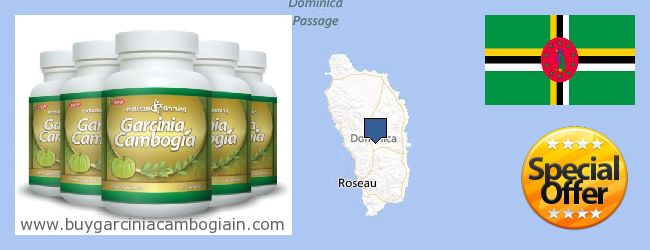 купити Garcinia Cambogia Extract онлайн Dominica Де купити Garcinia Cambogia Extract онлайн Dominica