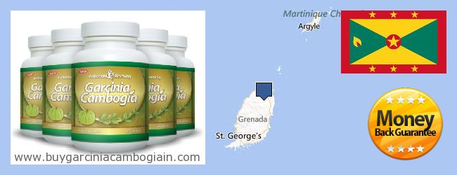 Де купити Garcinia Cambogia Extract онлайн Grenada