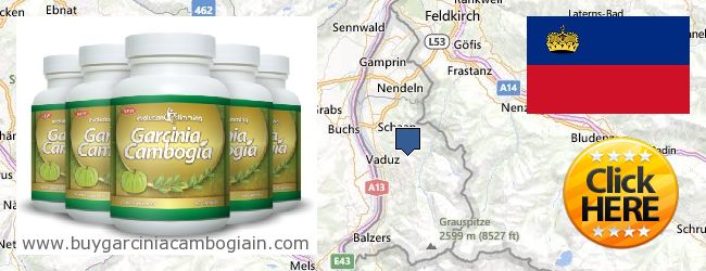 Де купити Garcinia Cambogia Extract онлайн Liechtenstein