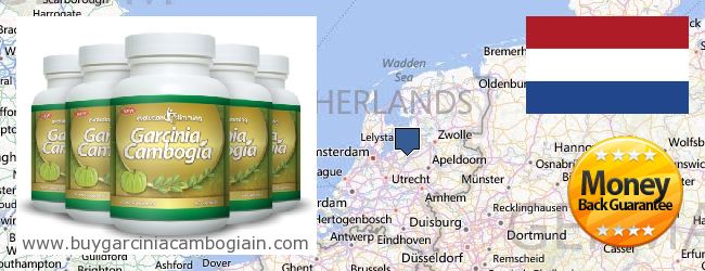 Де купити Garcinia Cambogia Extract онлайн Netherlands