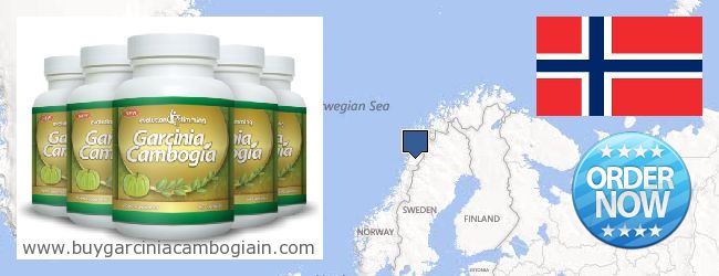 Де купити Garcinia Cambogia Extract онлайн Norway