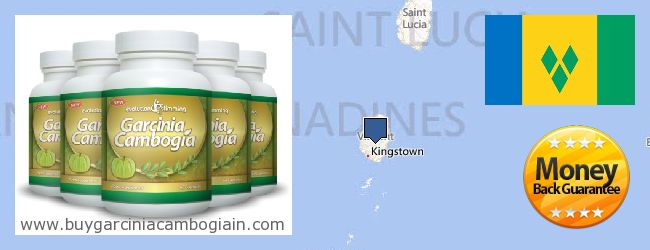 Де купити Garcinia Cambogia Extract онлайн Saint Vincent And The Grenadines