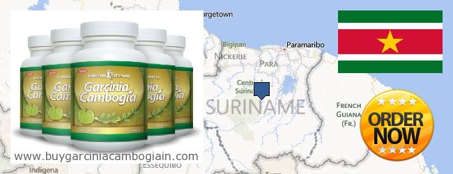 Де купити Garcinia Cambogia Extract онлайн Suriname