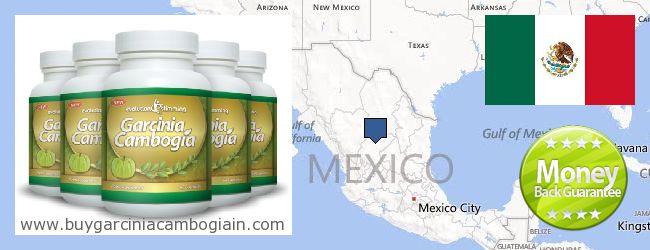 哪里购买 Garcinia Cambogia Extract 在线 Mexico